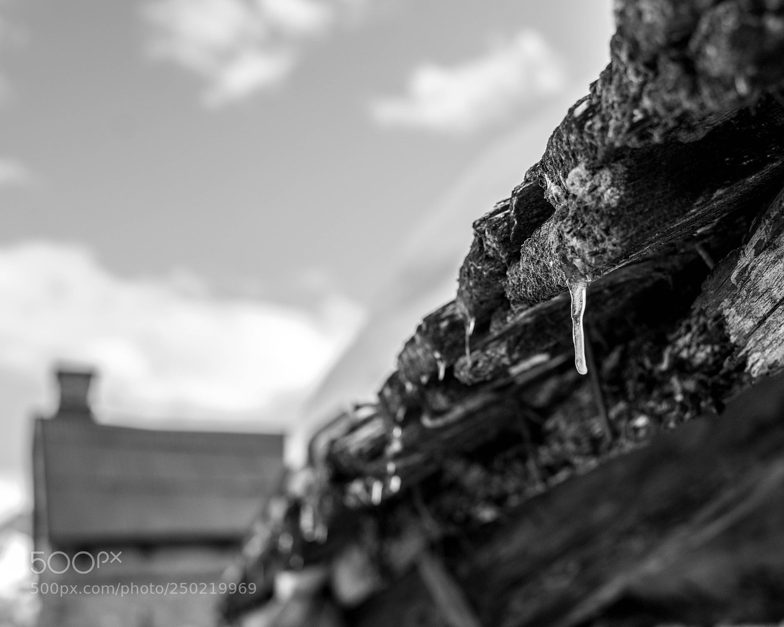 Nikon D7100 sample photo. Winter walk photography