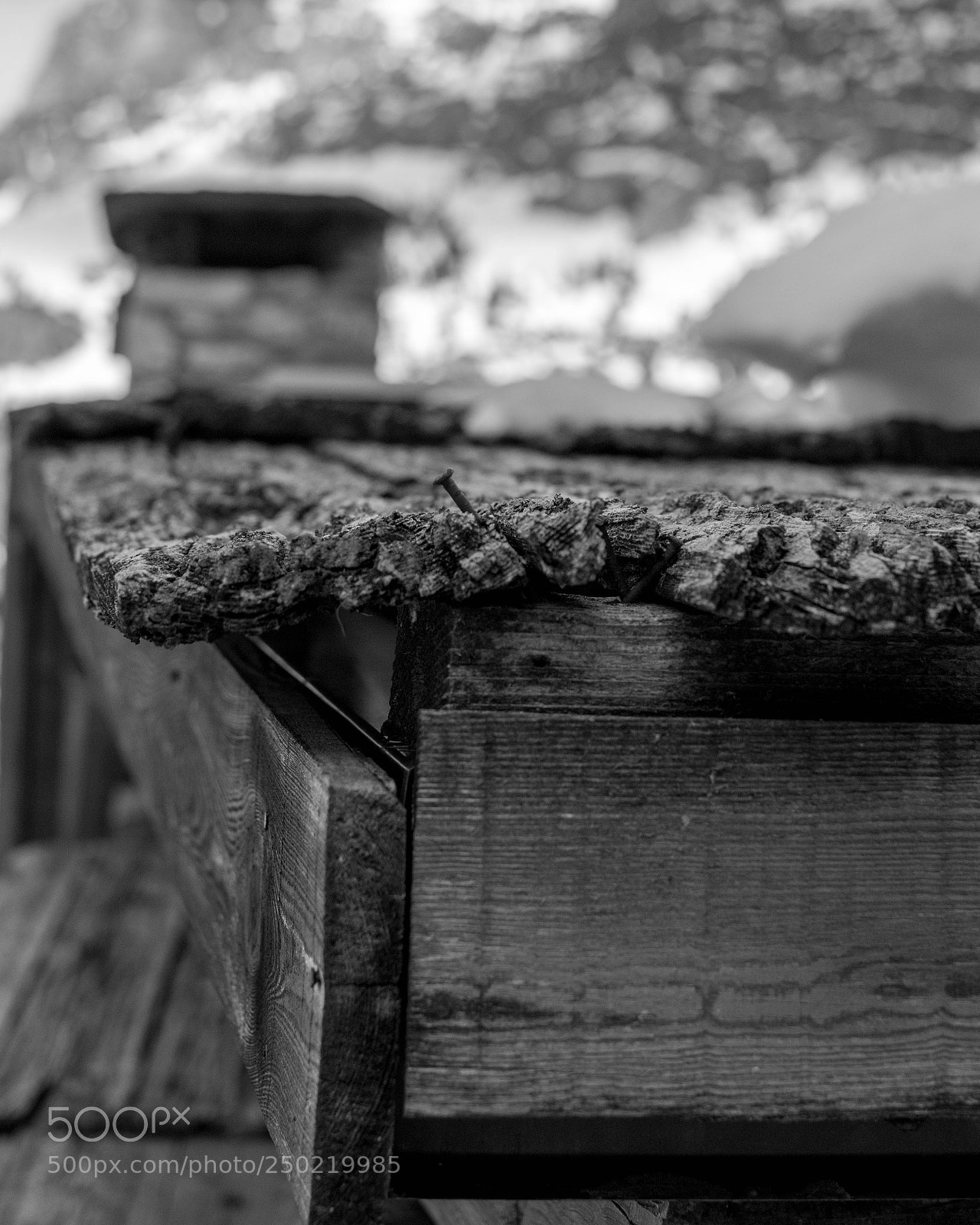 Nikon D7100 sample photo. Winter walk photography