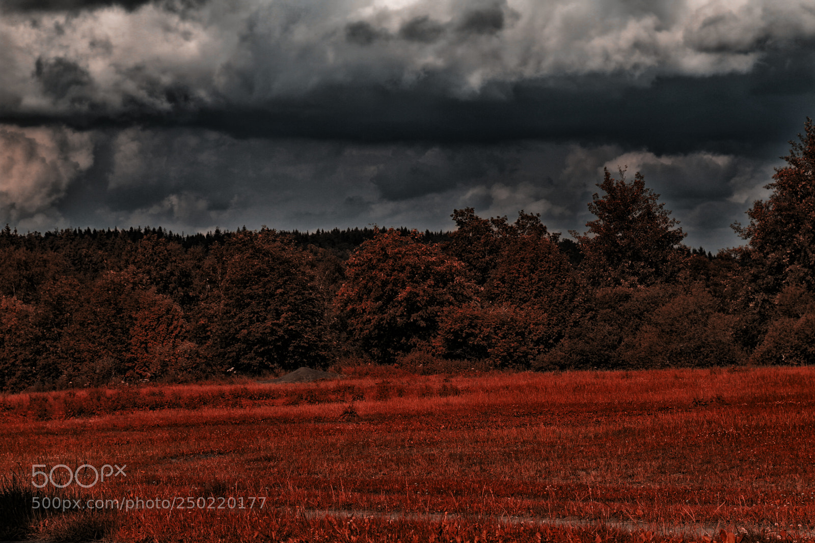 Canon EOS 7D sample photo. Reddrama photography