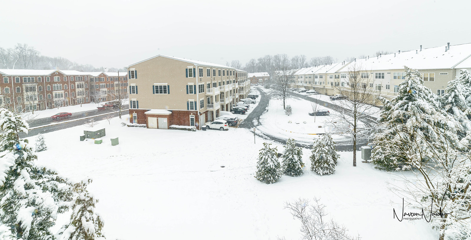 Nikon D800 sample photo. Snow day photography