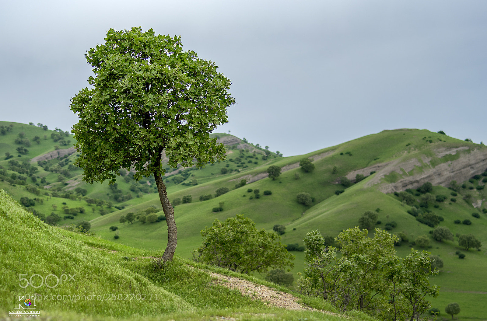 Sony a7 II sample photo. Qaradakh kurdistan photography