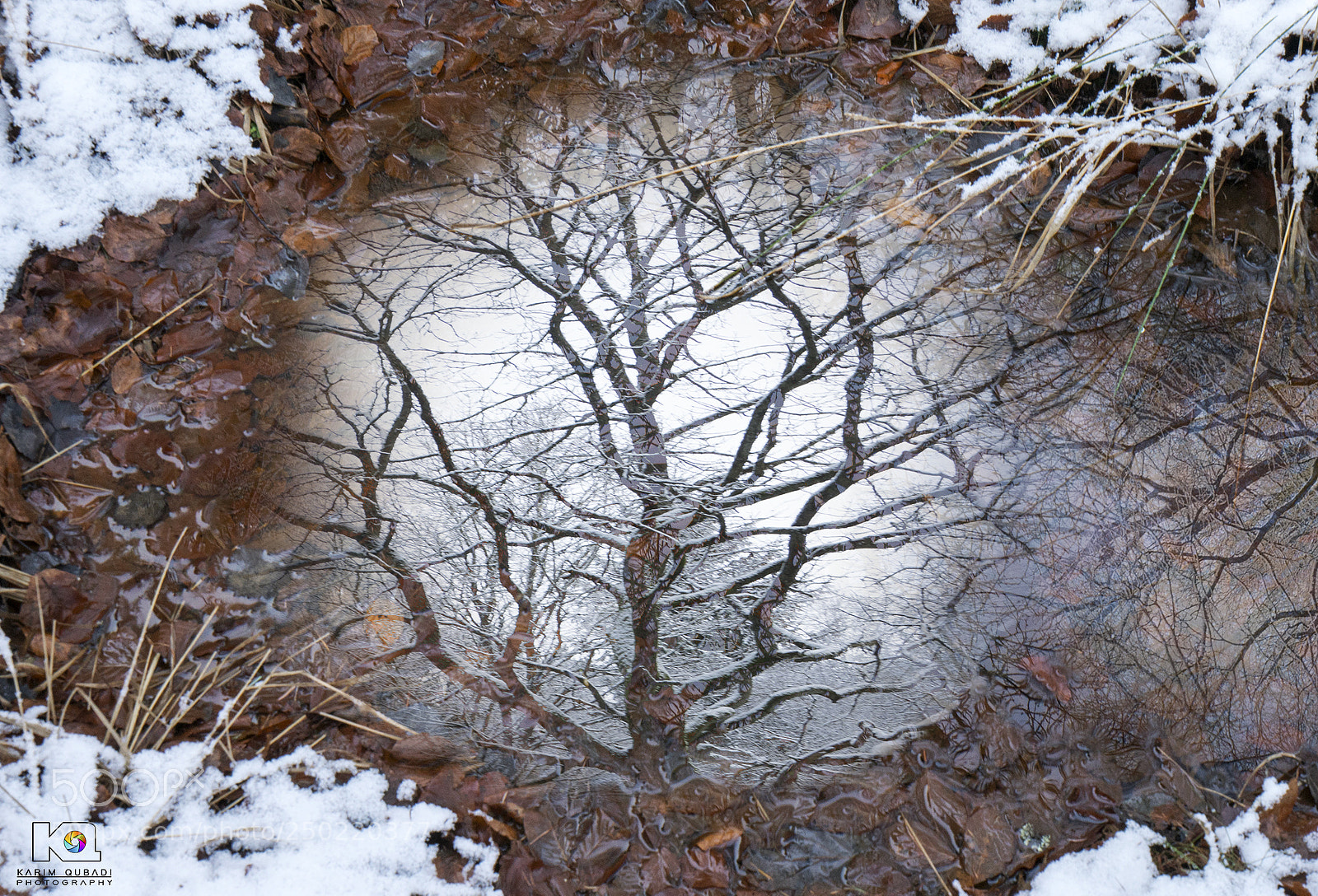 Sony a7R II sample photo. Winther reflection photography