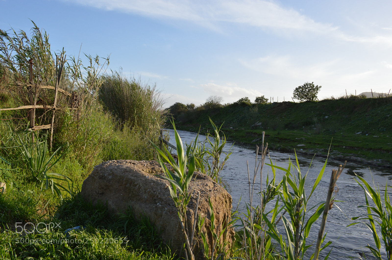 Nikon D3200 sample photo. Untitled photography