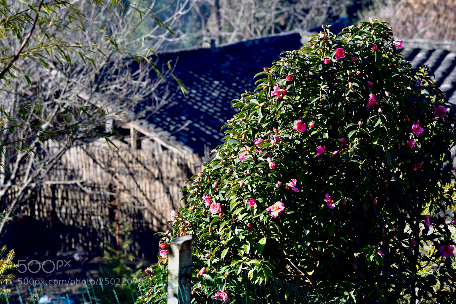 Nikon D7200 sample photo. Mountain village photography