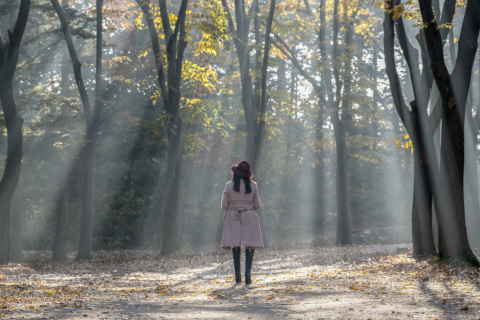 Sony a7R II sample photo. 편집 photography