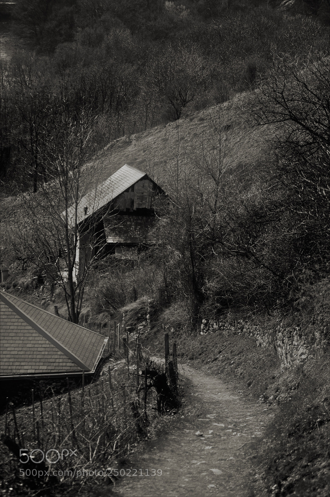 Nikon D3200 sample photo. Untitled photography