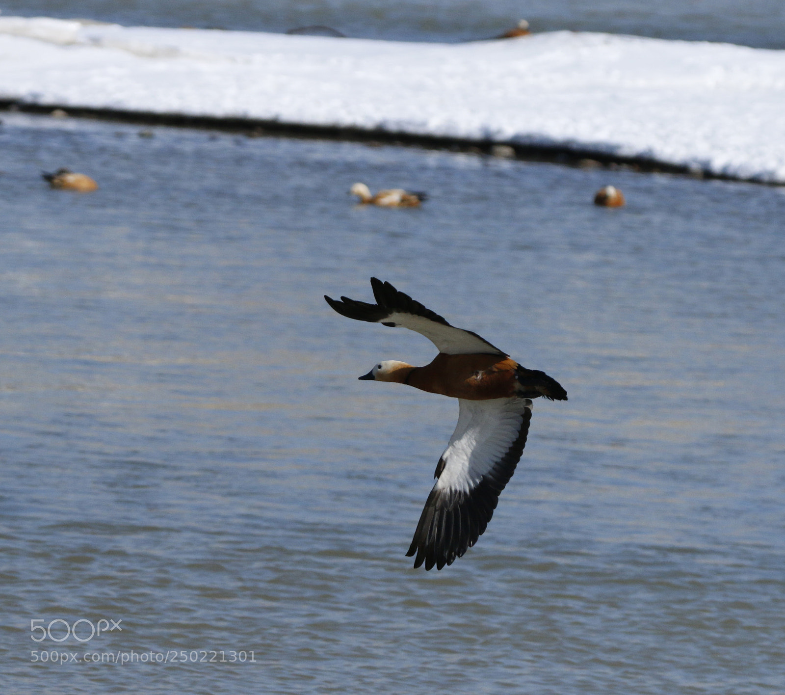 Canon EOS 70D sample photo. Find the foothold photography
