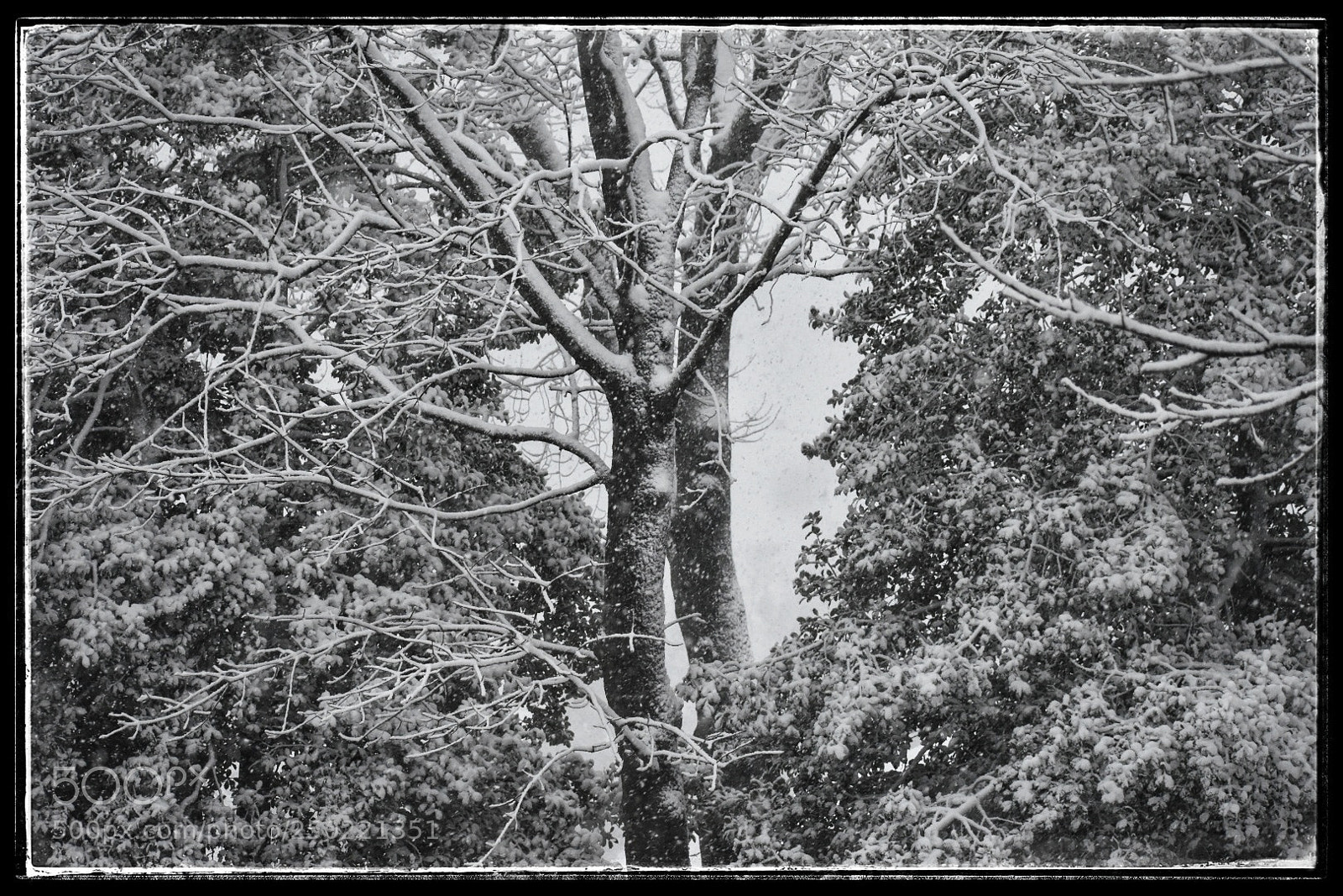 Nikon D3400 sample photo. Winter wonderland photography