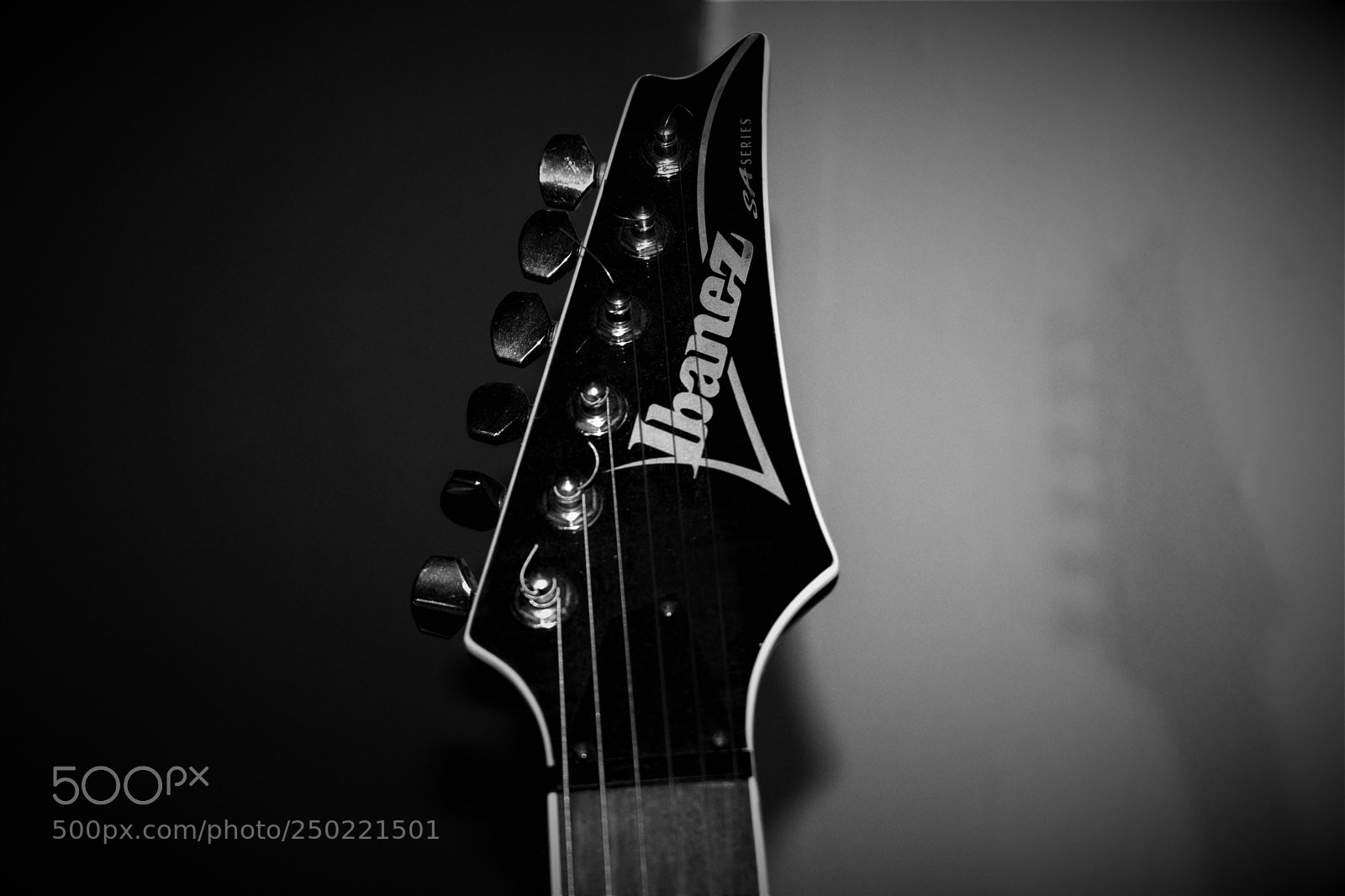 Nikon D3300 sample photo. Ibanez sa series photography