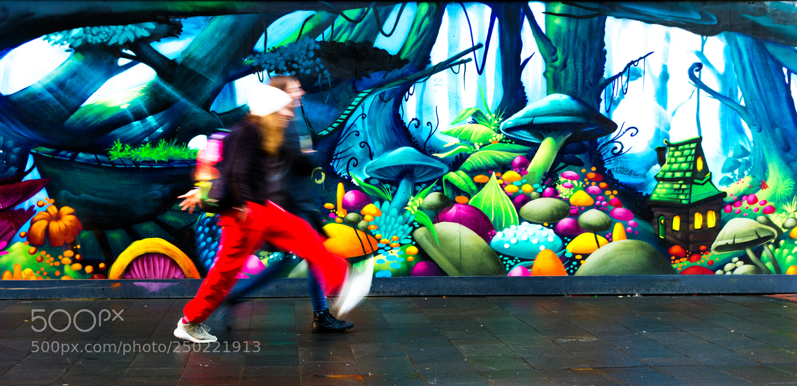 Nikon D7200 sample photo. Into the wonderland photography