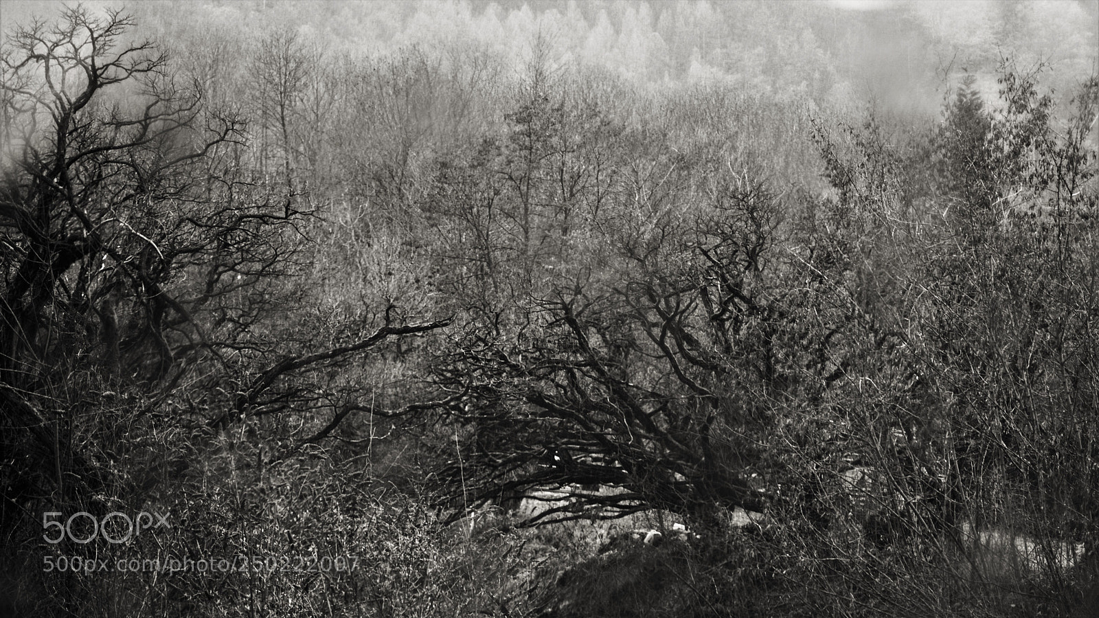 Nikon D3200 sample photo. Untitled photography