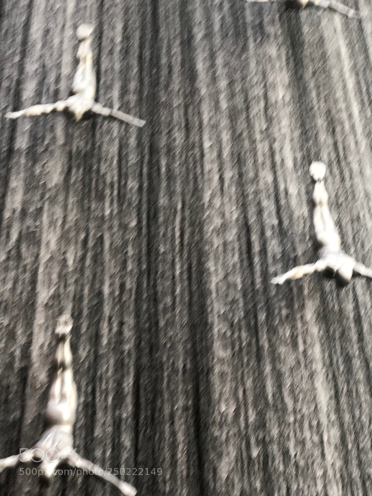 Apple iPhone 8 Plus sample photo. Untitled photography
