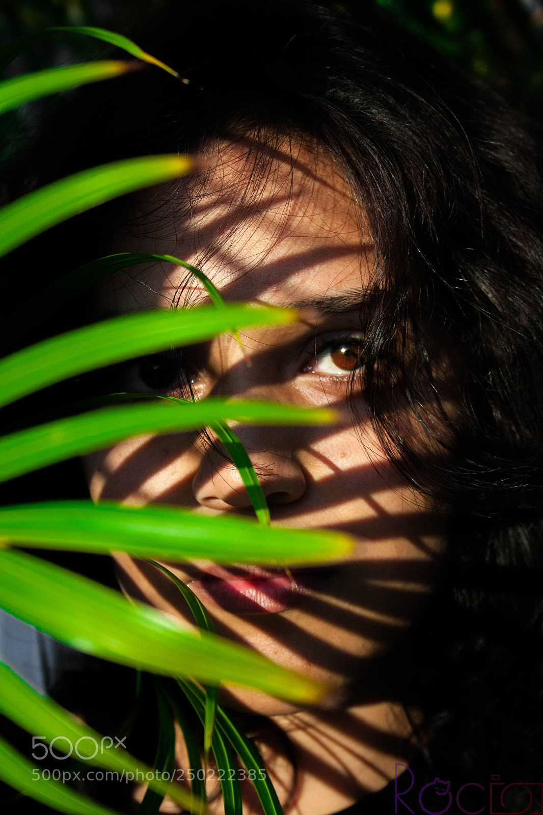 Canon EOS 1000D (EOS Digital Rebel XS / EOS Kiss F) sample photo. Sombras photography