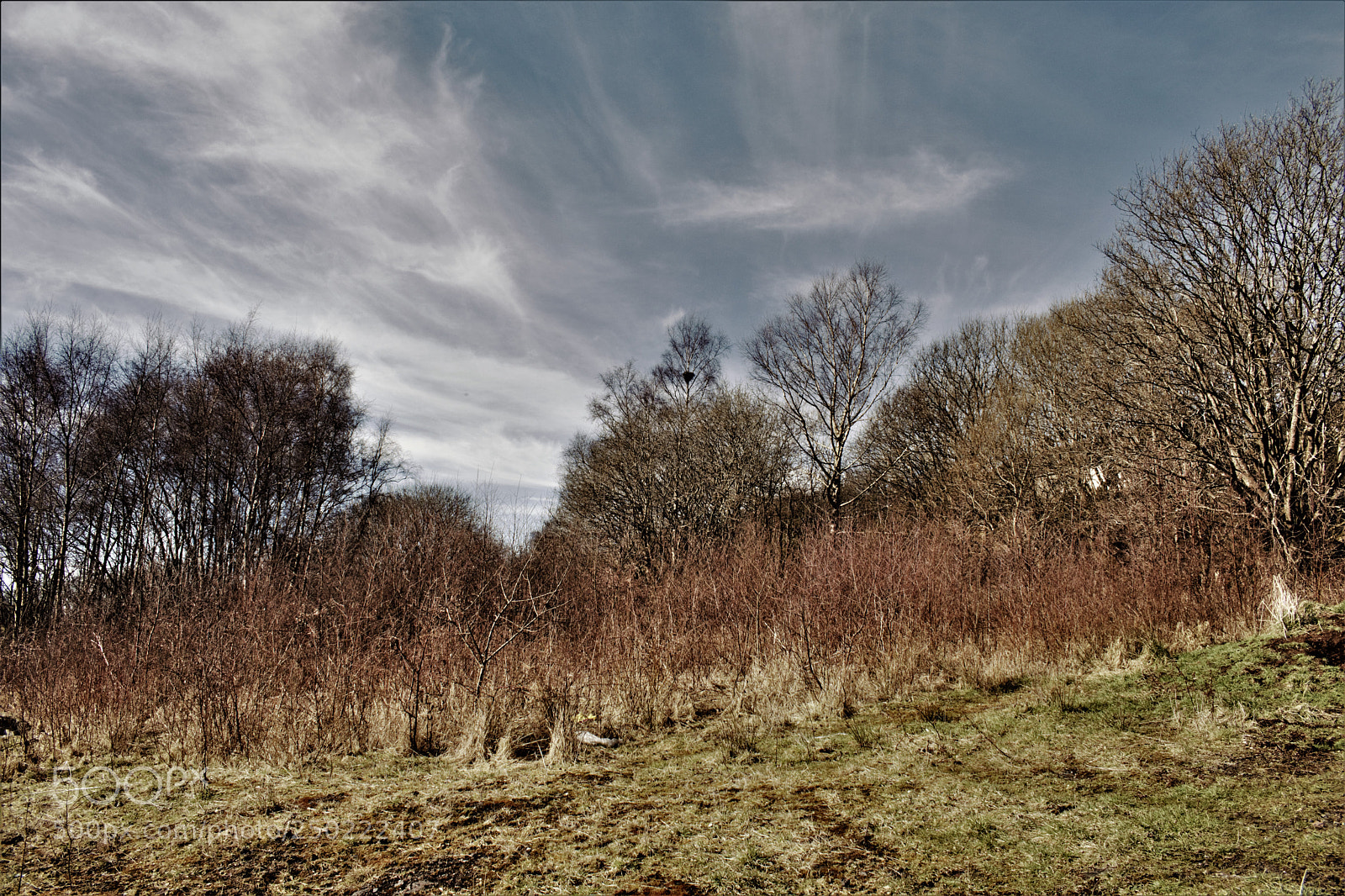 Nikon D3300 sample photo. Natural dystopia photography