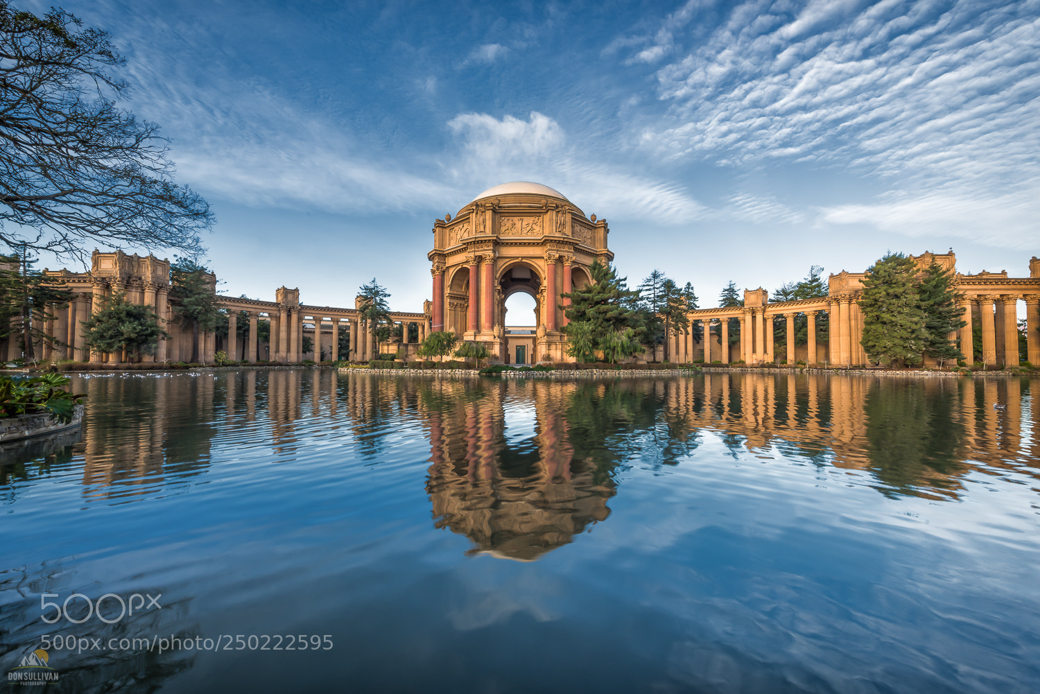 Nikon D810 sample photo. Palace of fine arts photography