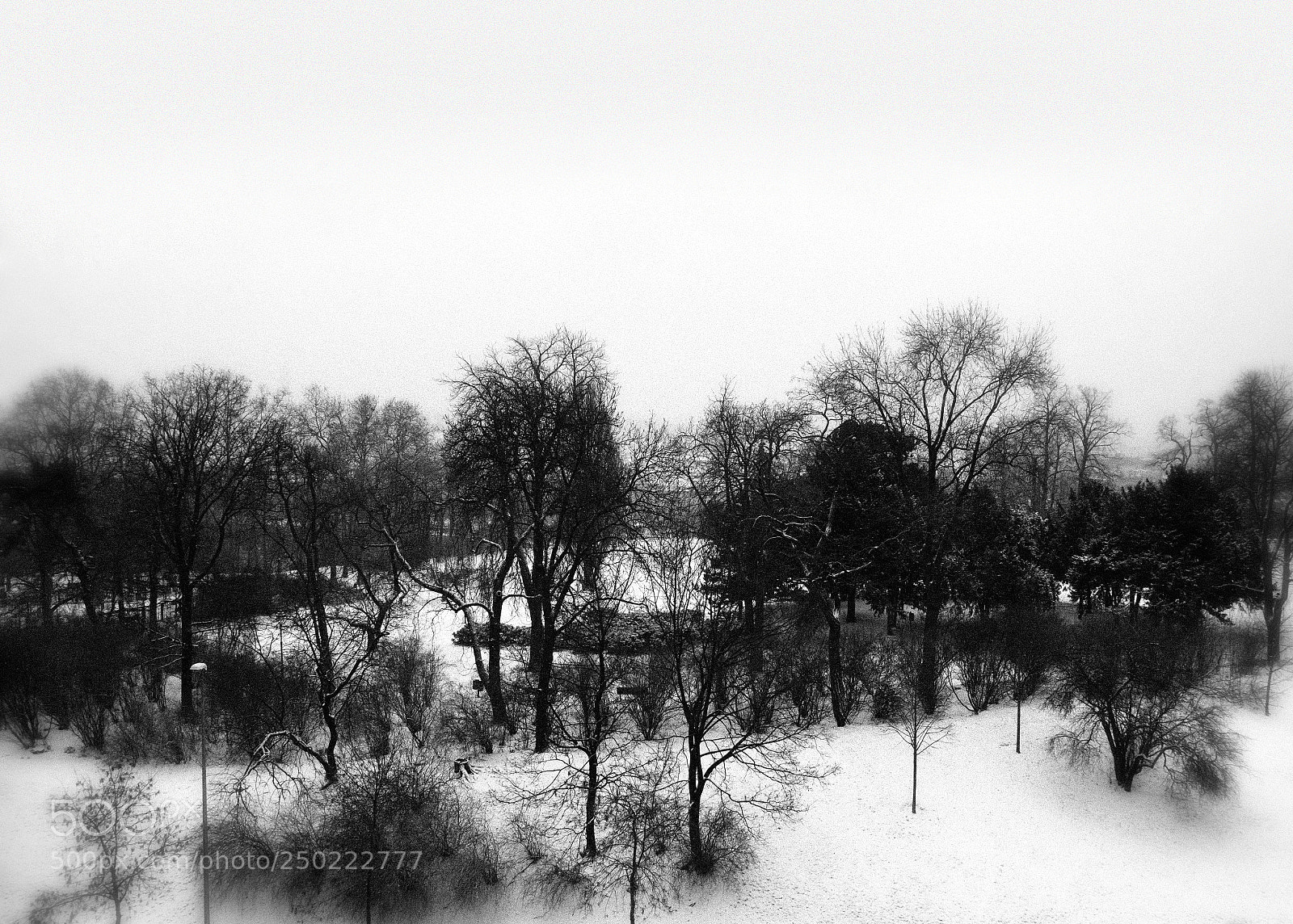 Fujifilm X-E1 sample photo. Snow in the park photography