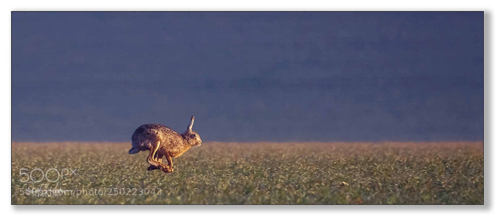 Fujifilm X-H1 sample photo. I'm off .... photography