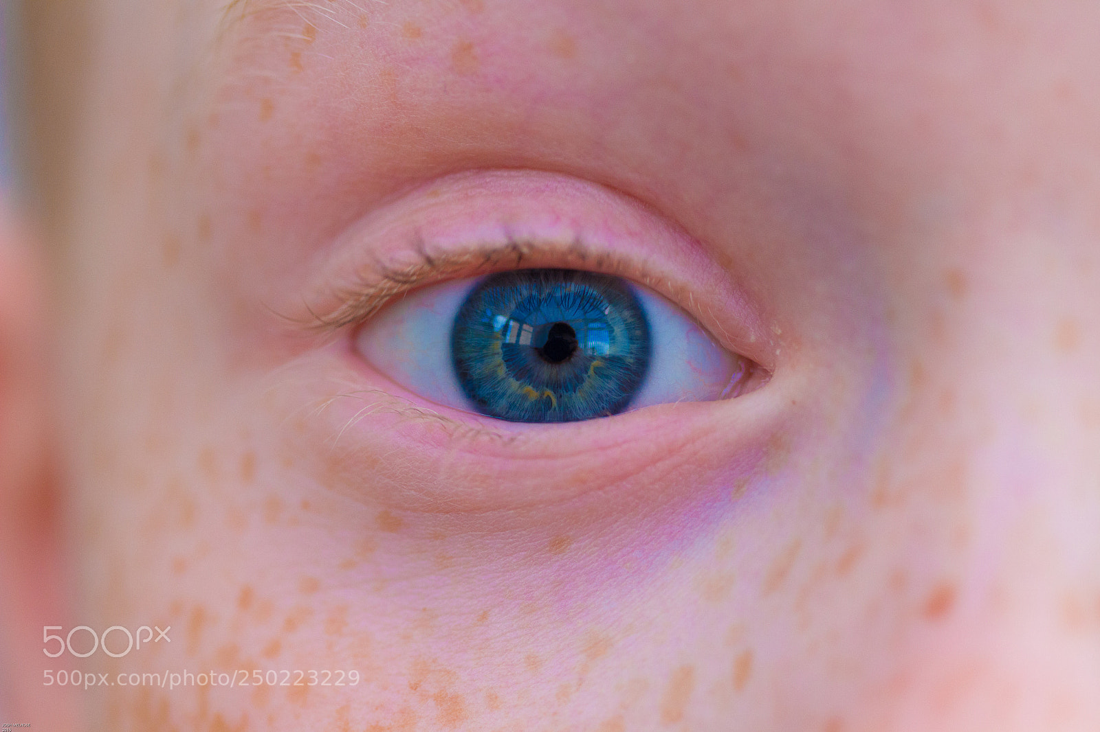 Canon EOS 100D (EOS Rebel SL1 / EOS Kiss X7) sample photo. Brothers eye photography