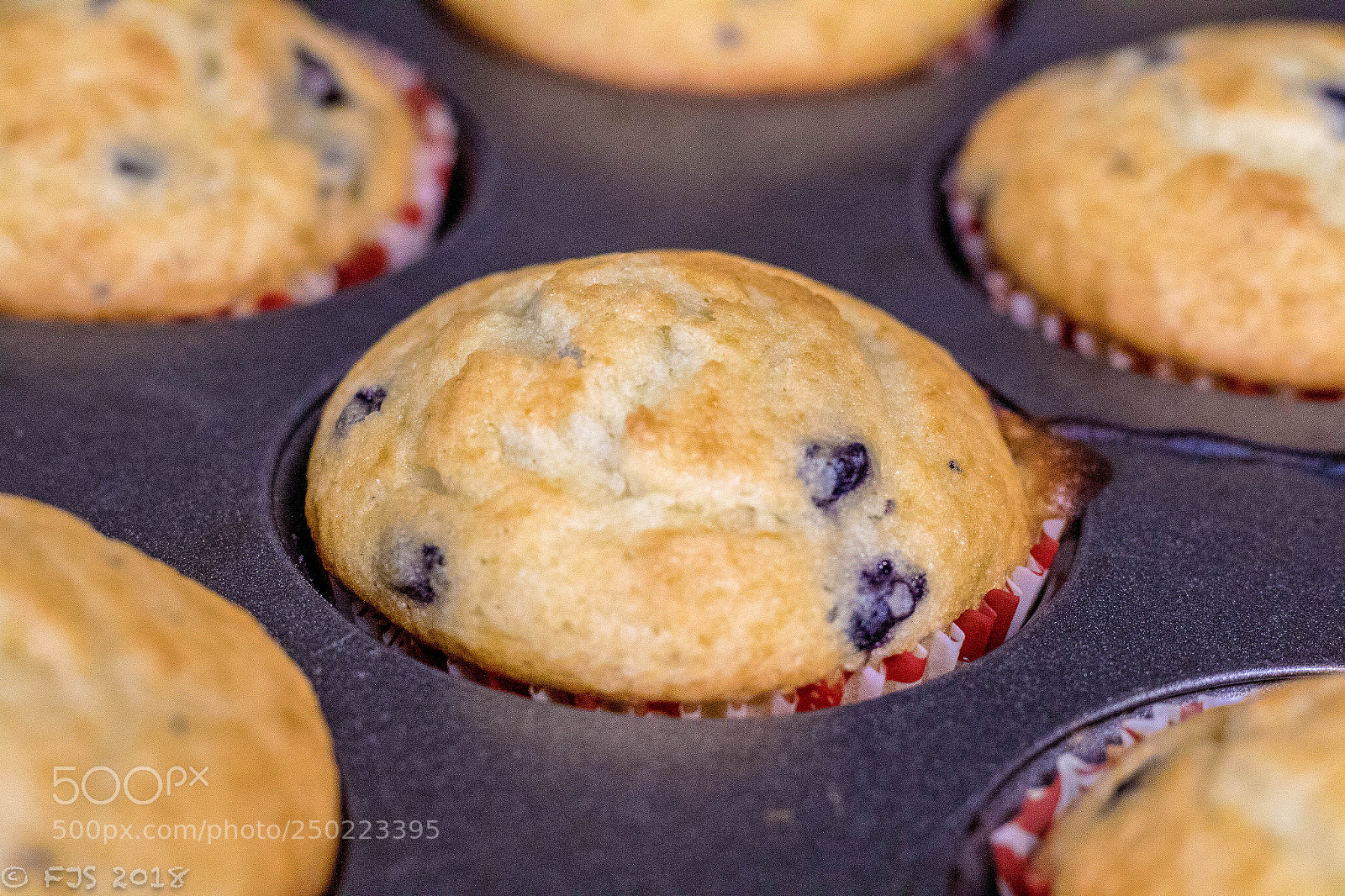 Canon EOS 7D Mark II sample photo. Blueberry muffins photography