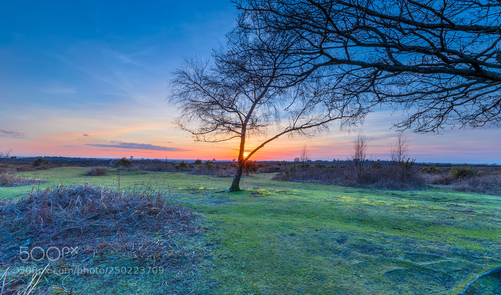 Canon EOS 5D Mark IV sample photo. Sunset photography