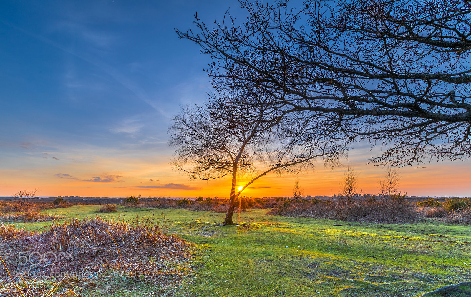 Canon EOS 5D Mark IV sample photo. Vereley hill photography