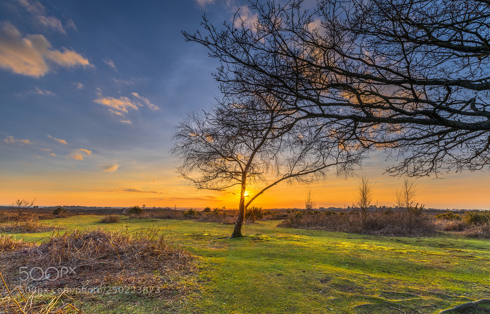 Canon EOS 5D Mark IV sample photo. Vereley sunset photography