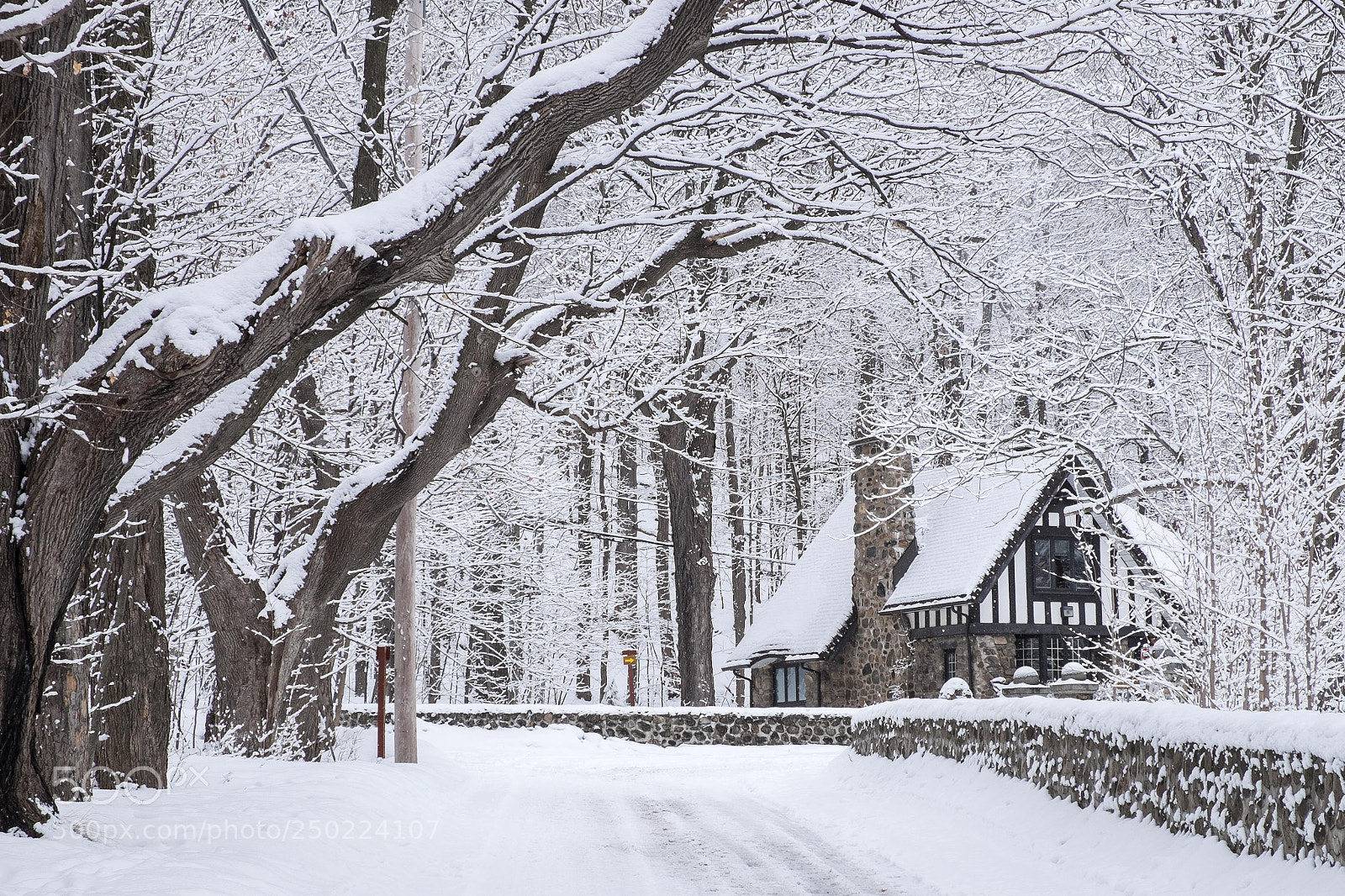 Fujifilm X-T1 sample photo. Winter wonderland in quebec photography
