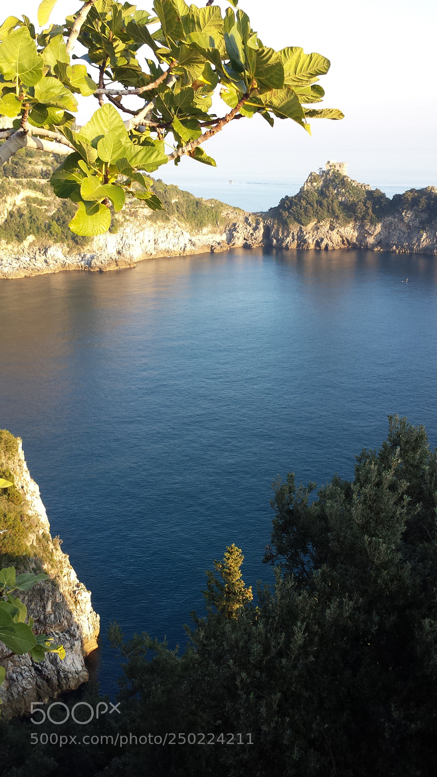 Samsung Galaxy S4 sample photo. Once upon a time photography