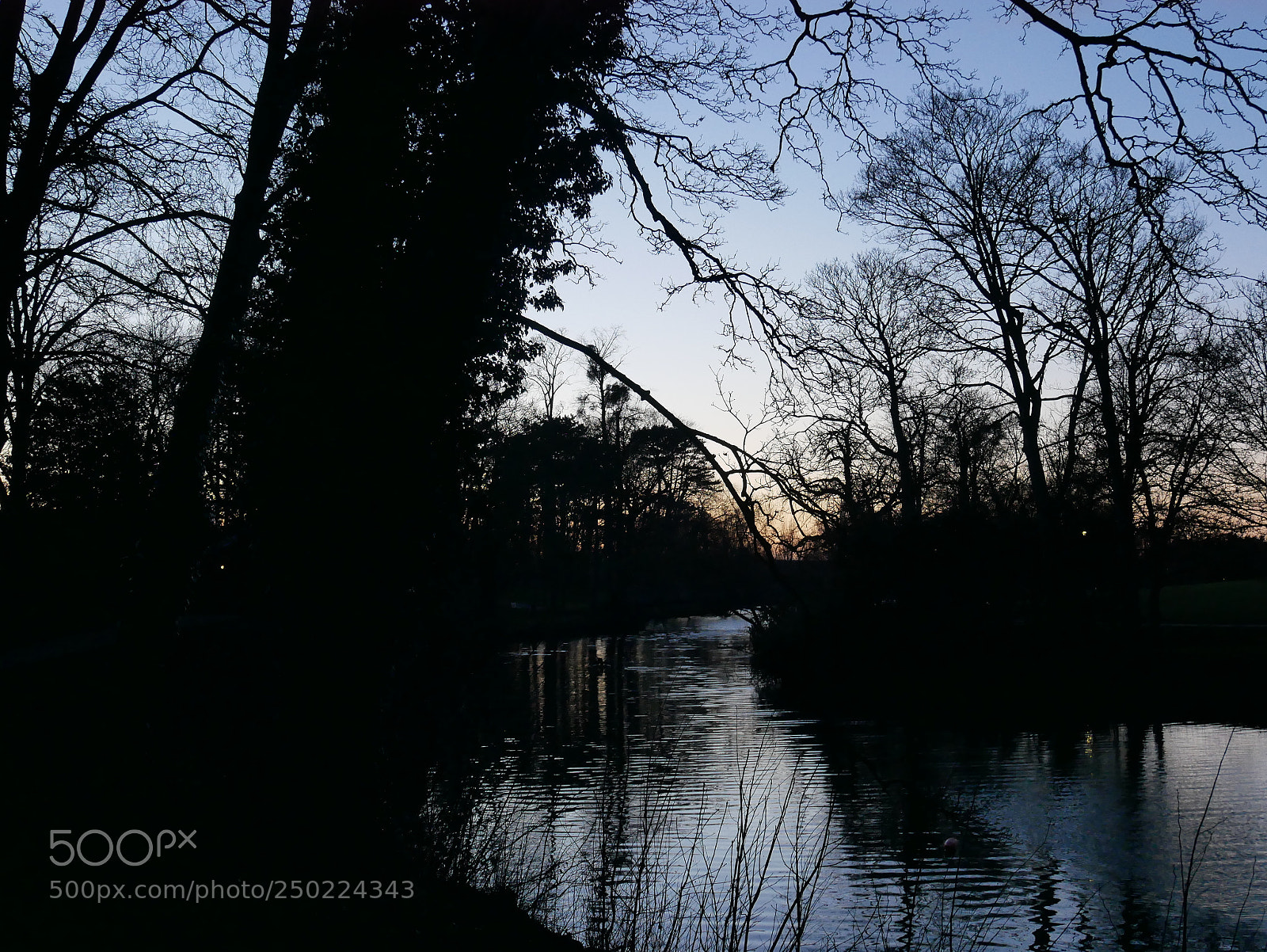 Panasonic Lumix DMC-GX85 (Lumix DMC-GX80 / Lumix DMC-GX7 Mark II) sample photo. Pittville park in cheltenham photography