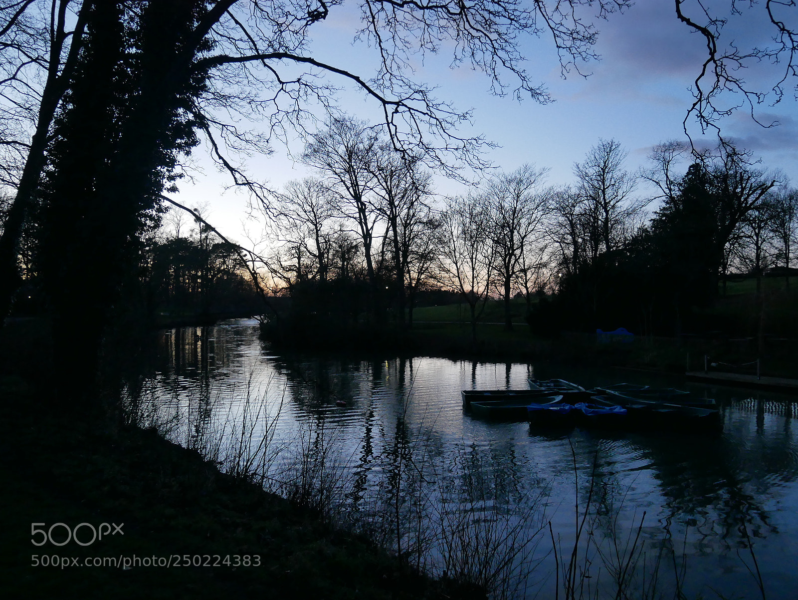 Panasonic Lumix DMC-GX85 (Lumix DMC-GX80 / Lumix DMC-GX7 Mark II) sample photo. Pittville park in cheltenham photography