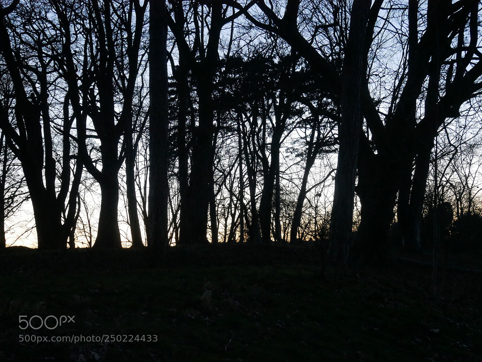 Panasonic Lumix DMC-GX85 (Lumix DMC-GX80 / Lumix DMC-GX7 Mark II) sample photo. Pittville park in cheltenham photography