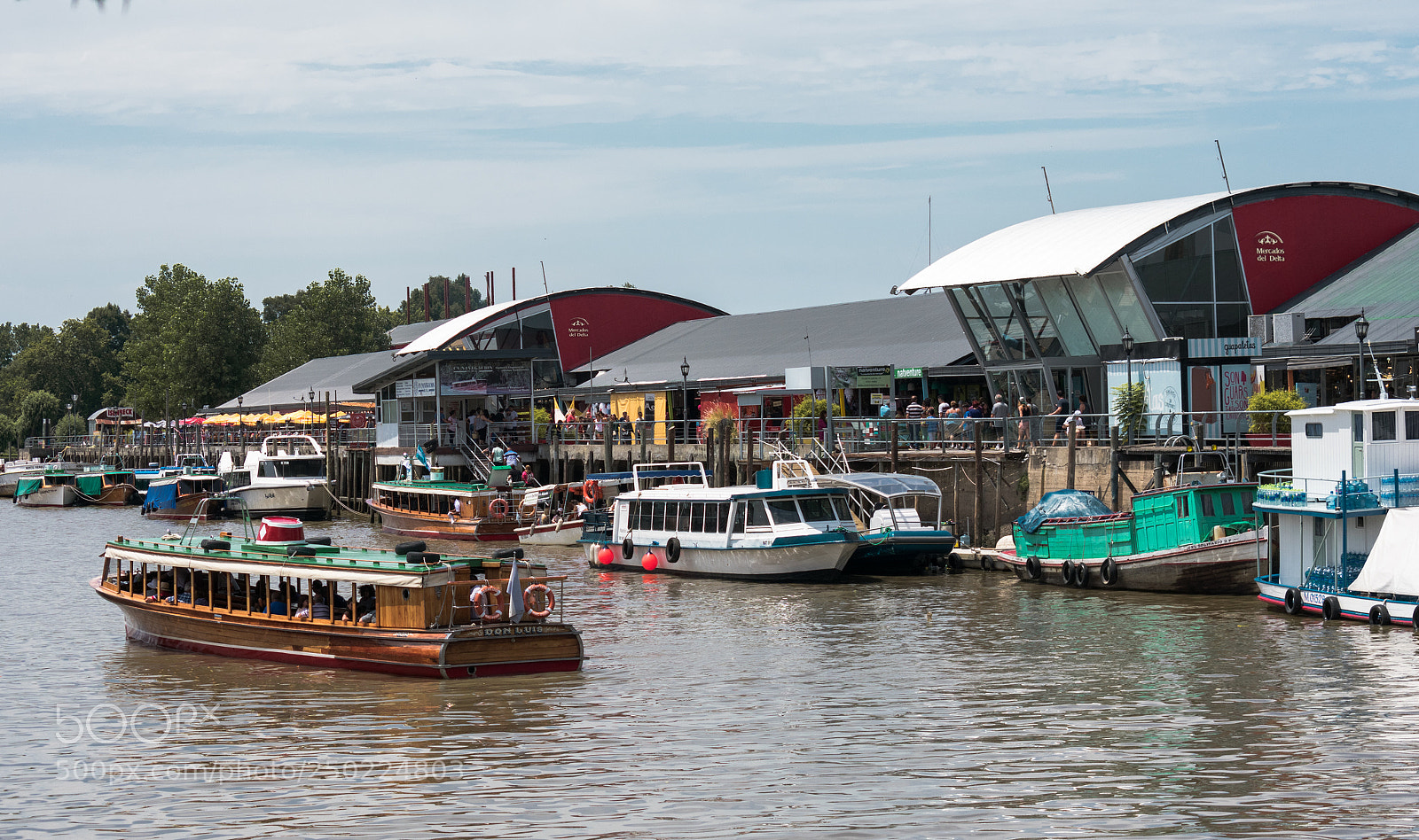 Nikon D3400 sample photo. Postal de tigre,una linda photography