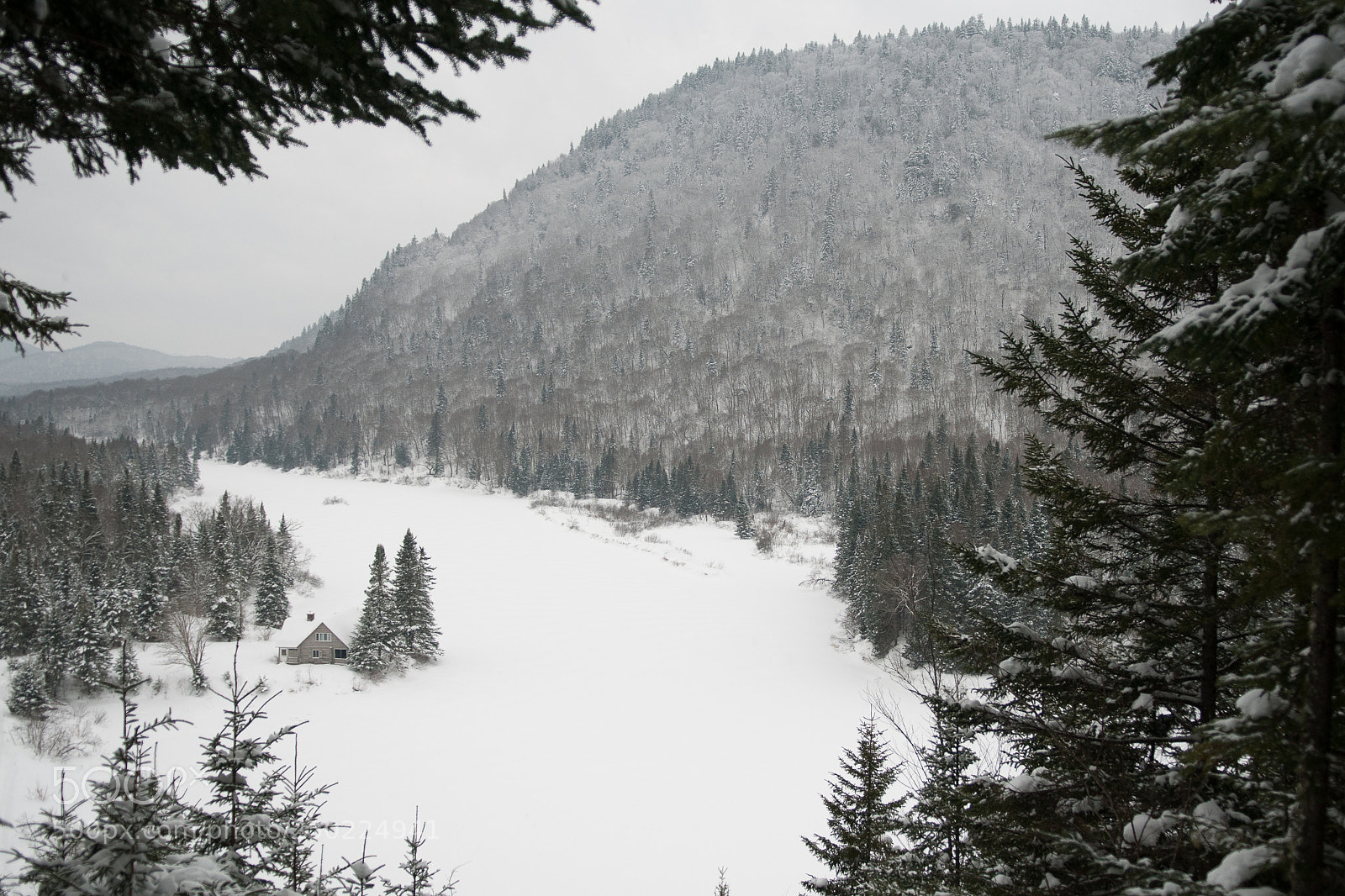 Nikon D300S sample photo. Cabane au canada photography
