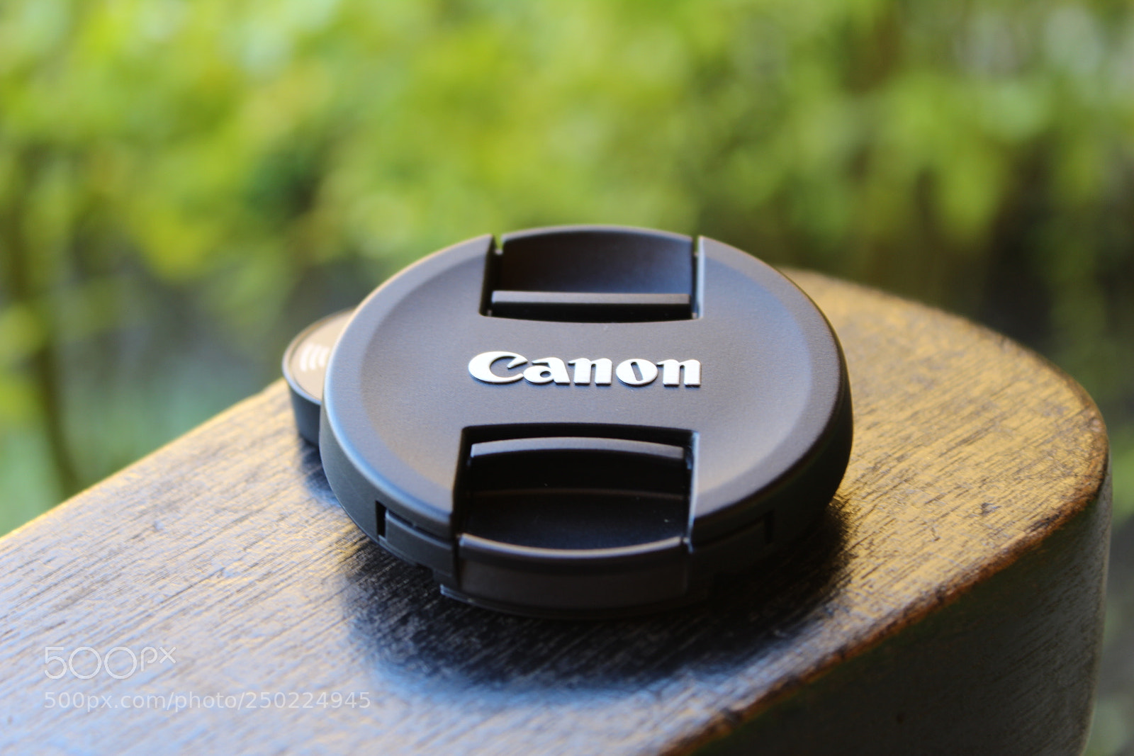 Canon EOS 1300D (EOS Rebel T6 / EOS Kiss X80) sample photo. Untitled photography