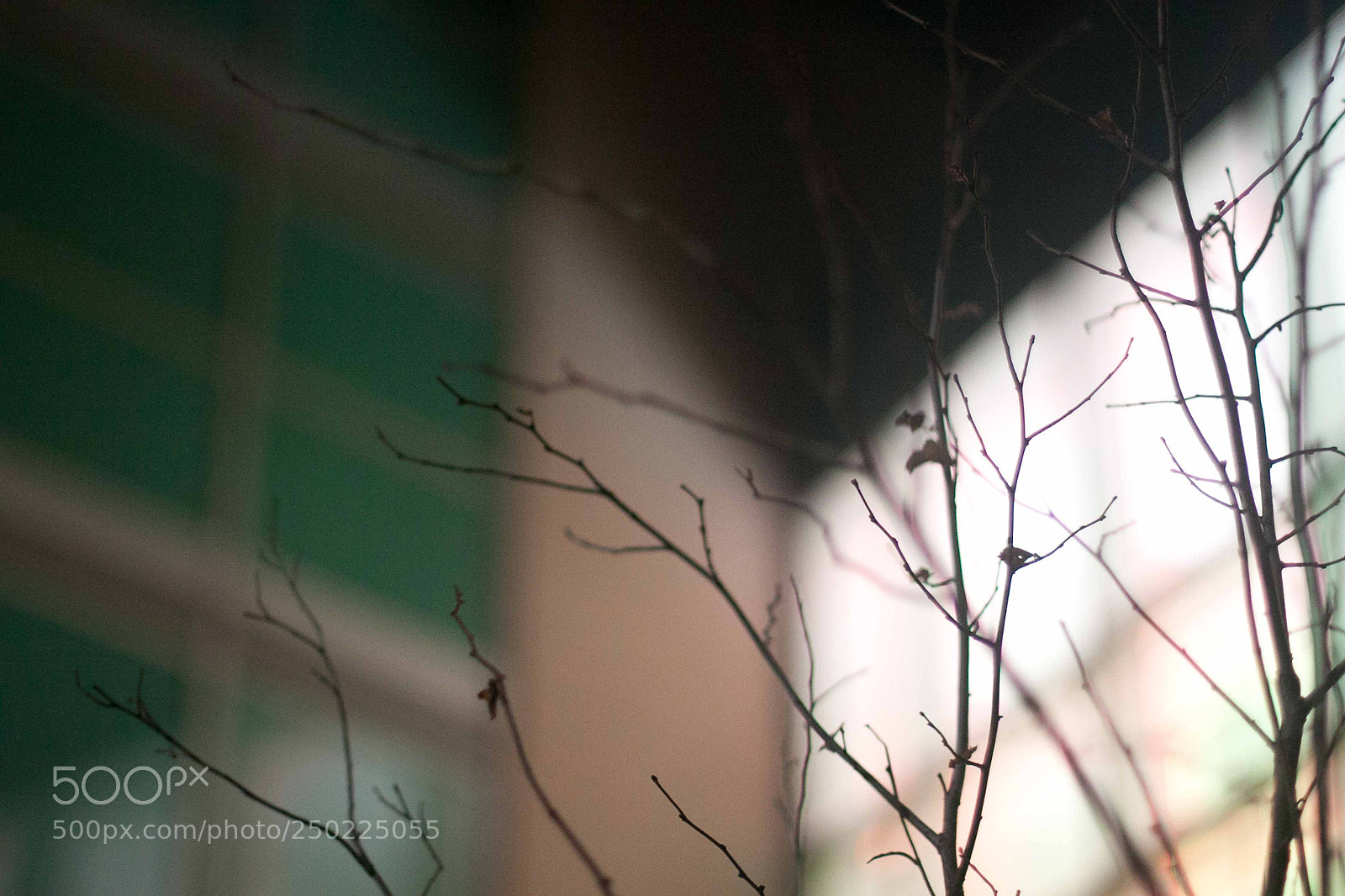 Canon EOS 50D sample photo. Abstract photography