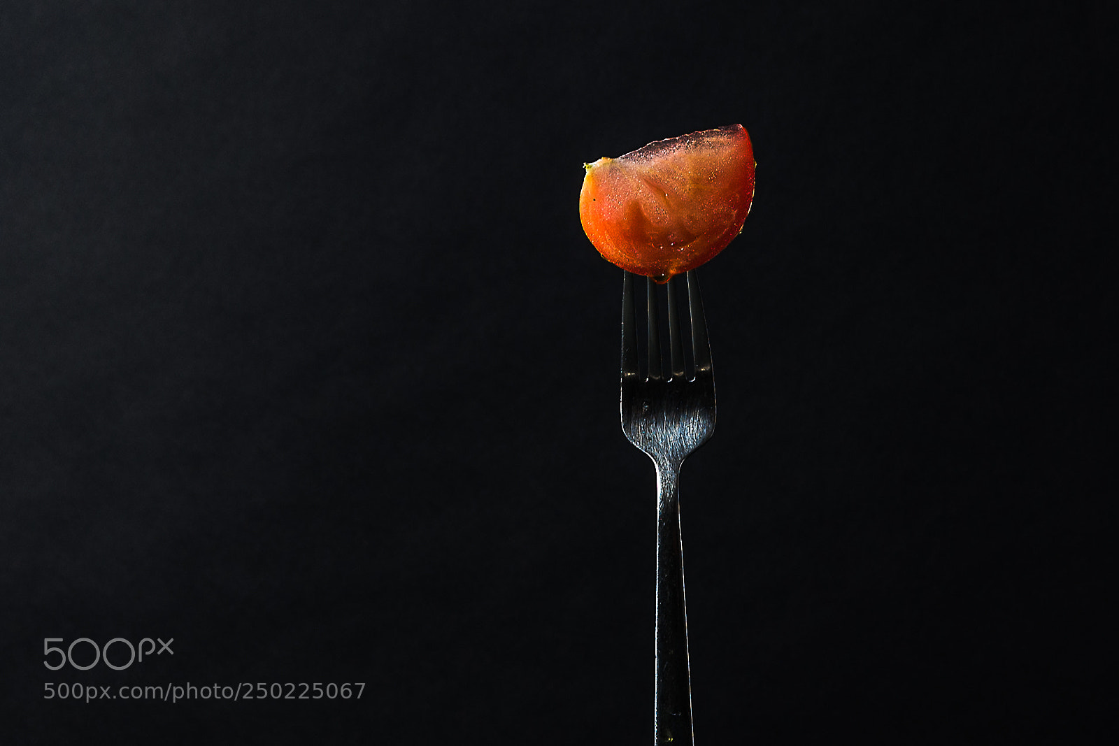 Nikon D610 sample photo. Red photography