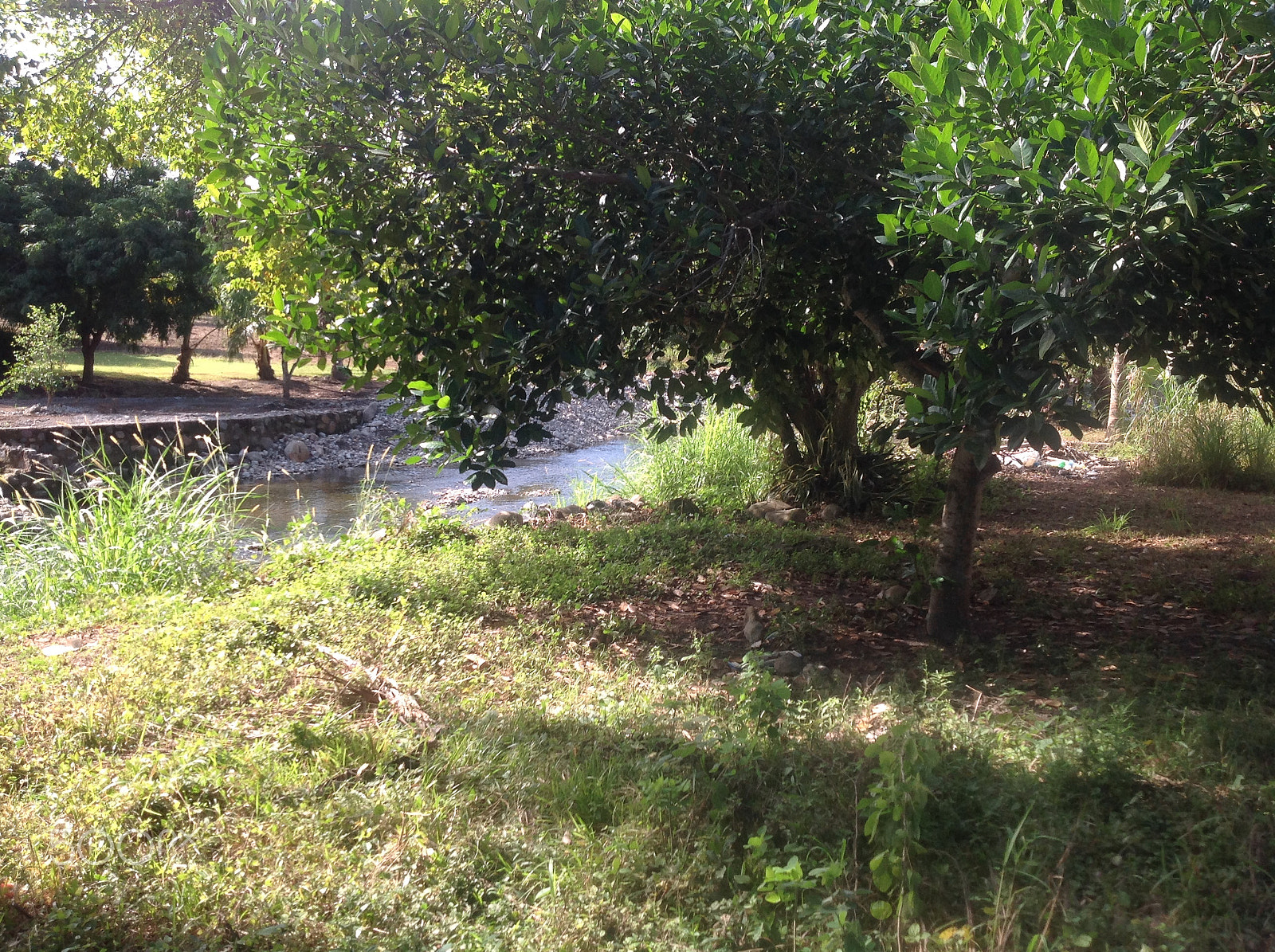 Apple iPad sample photo. Img photography