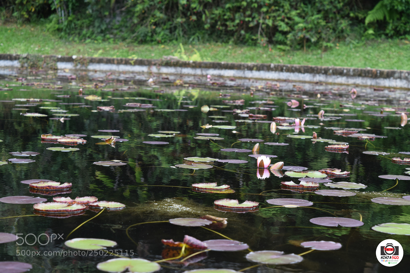 Nikon D5300 sample photo. Dsc photography