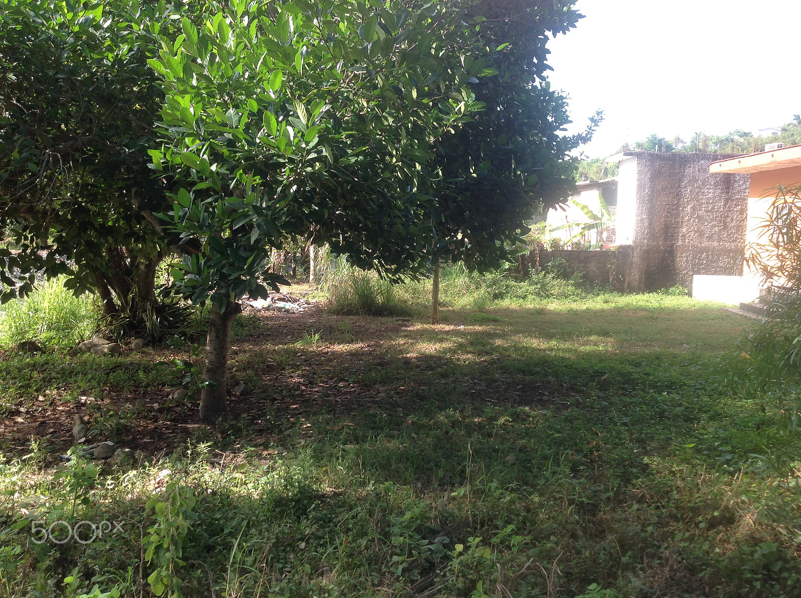 Apple iPad sample photo. Img photography