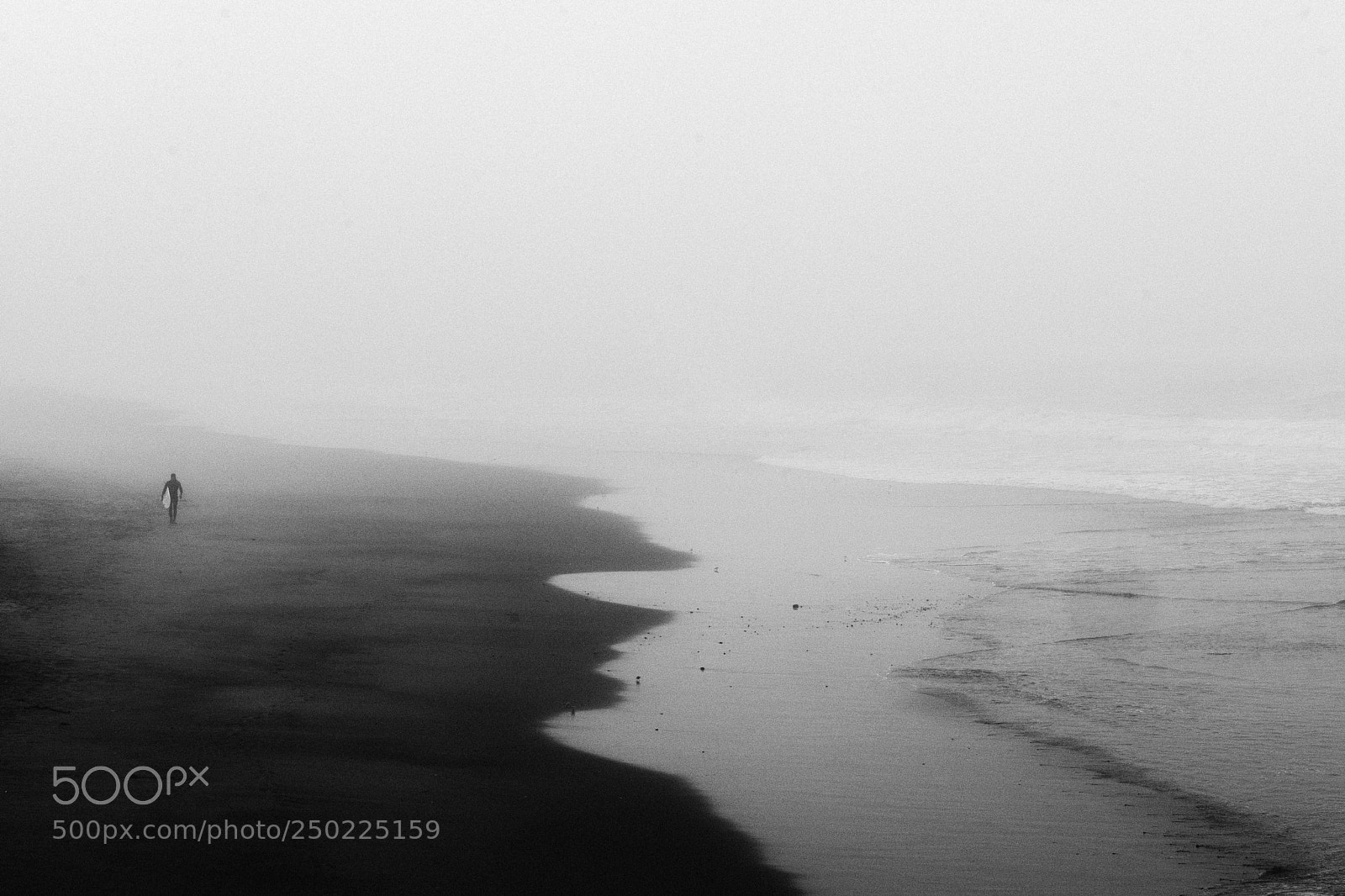 Leica SL (Typ 601) sample photo. Knee deep in fog photography