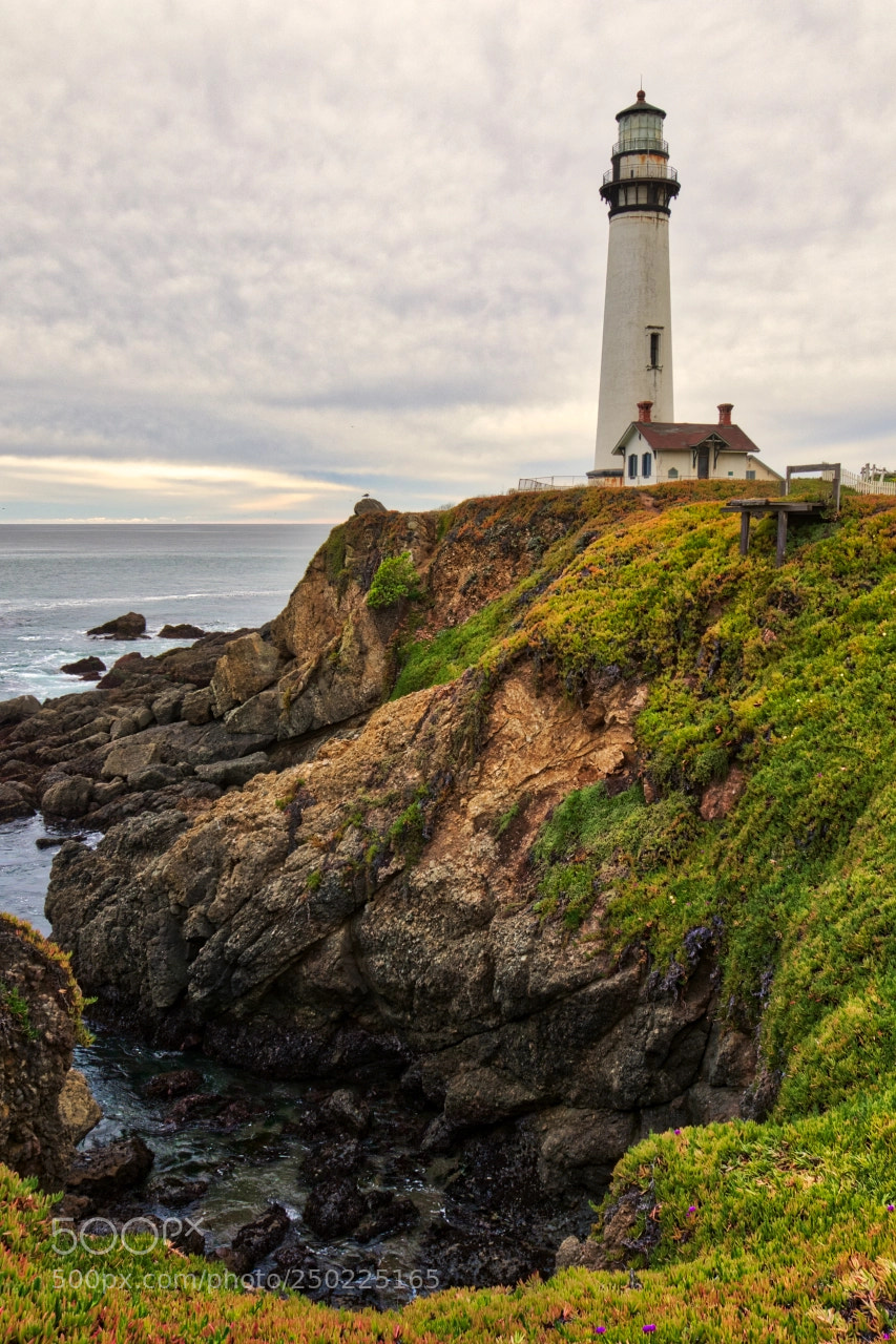 Canon EOS 7D Mark II sample photo. Clifftop photography