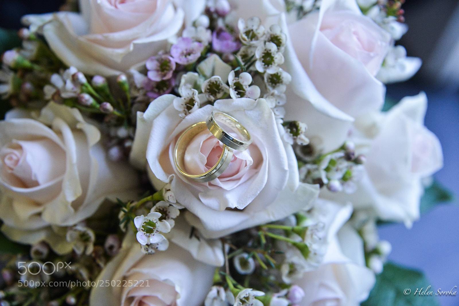 Nikon D800 sample photo. Rachel+franz photography