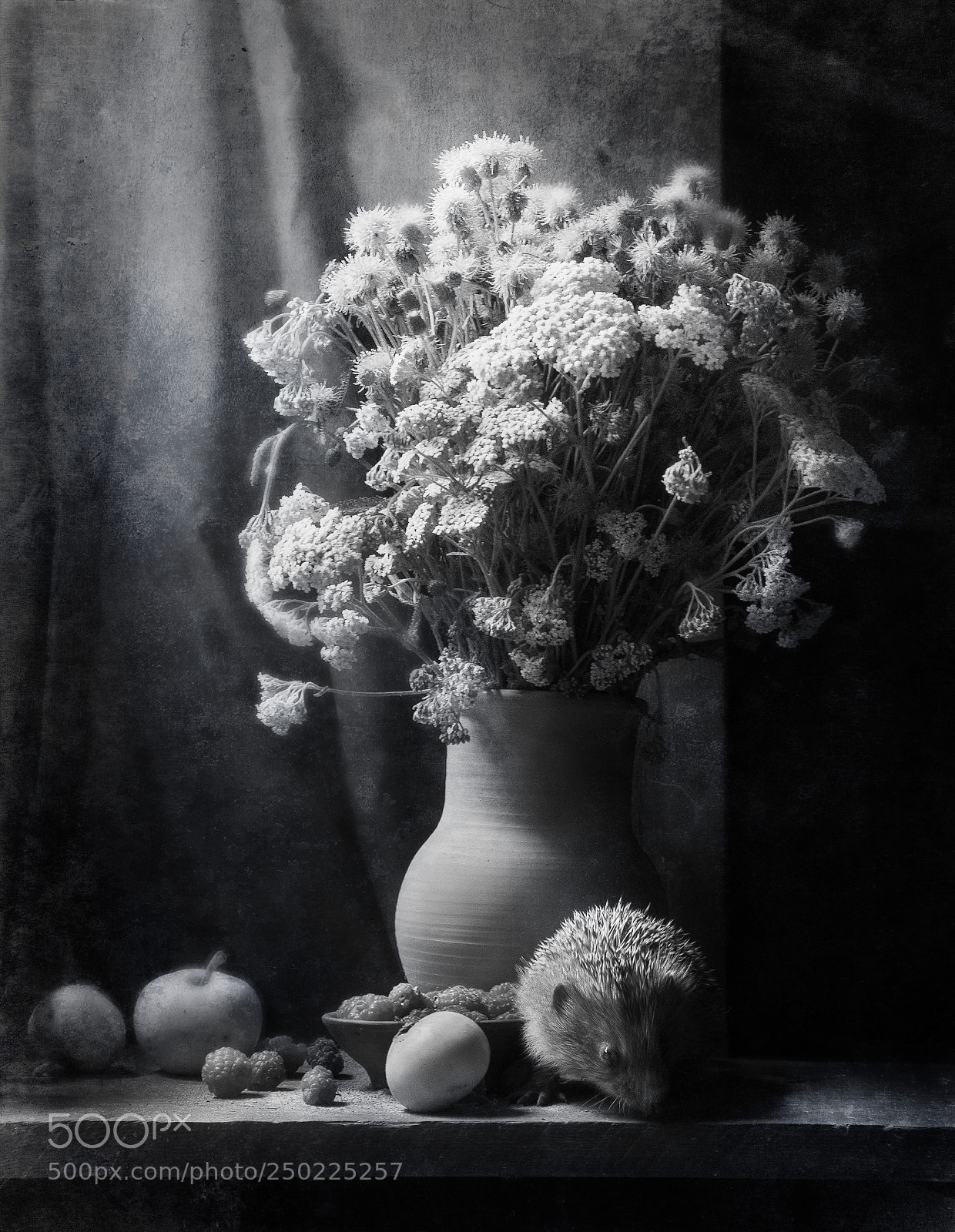 Nikon D7000 sample photo. Still life photography