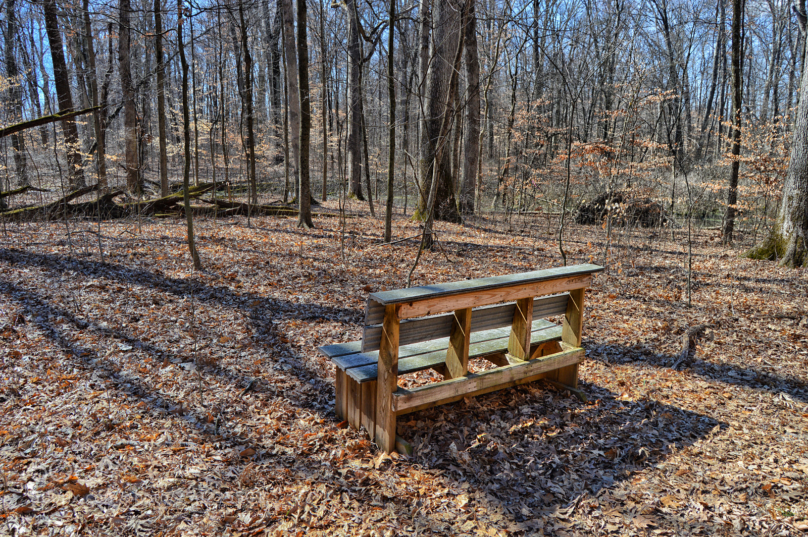 Nikon D3200 sample photo. Nature bench photography