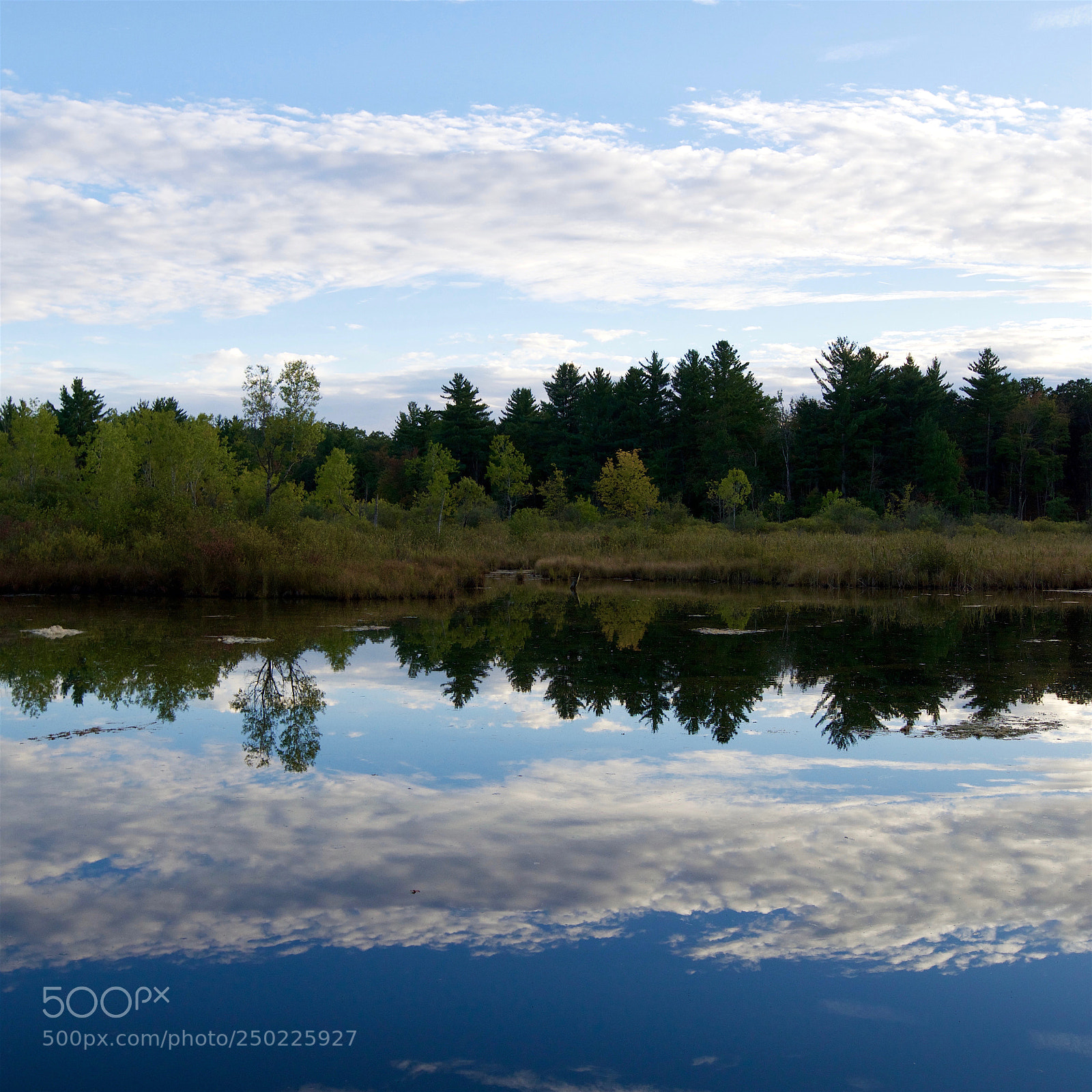 Nikon D5300 sample photo. Evening reflection photography