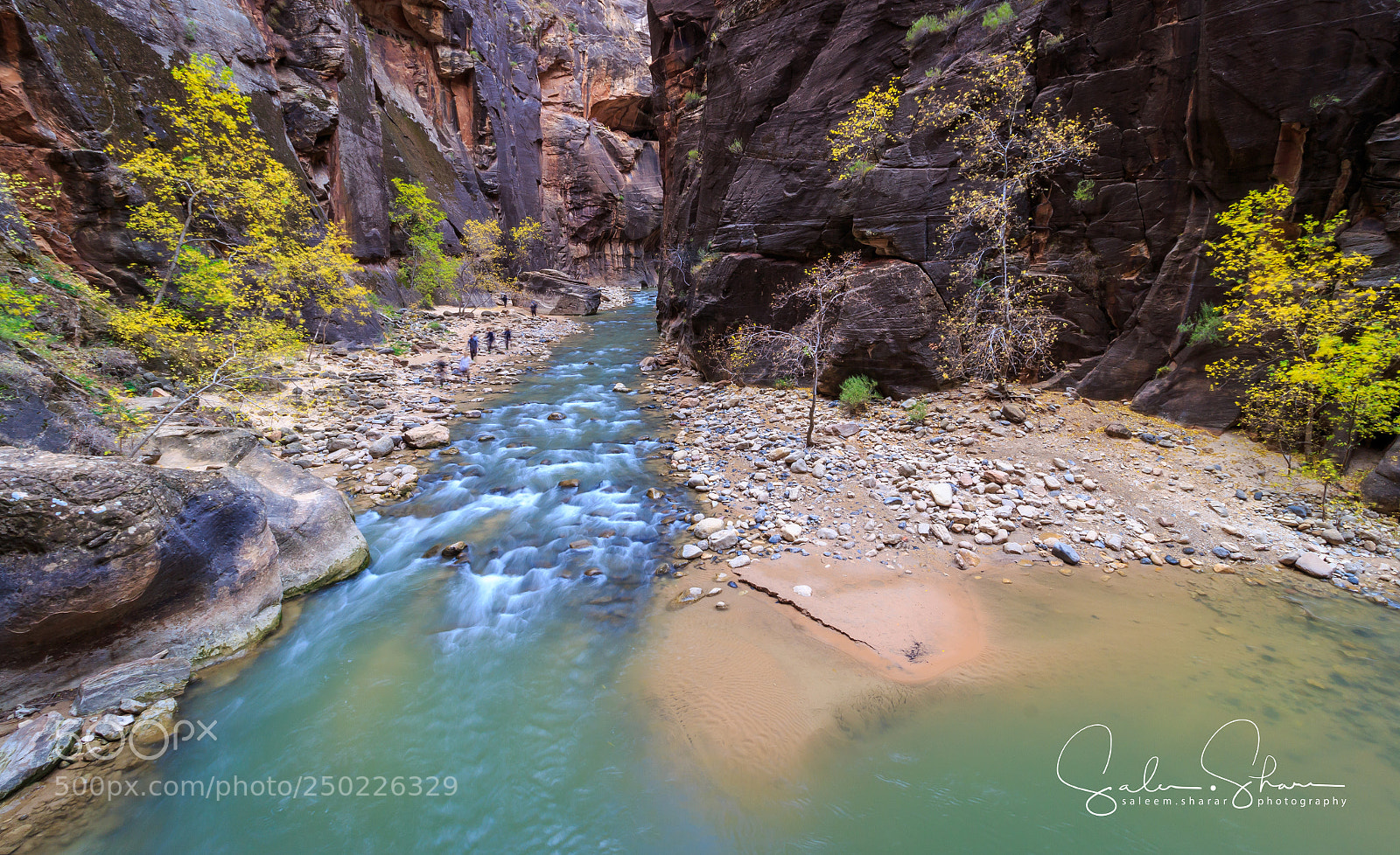 Canon EOS 700D (EOS Rebel T5i / EOS Kiss X7i) sample photo. This is zion... photography