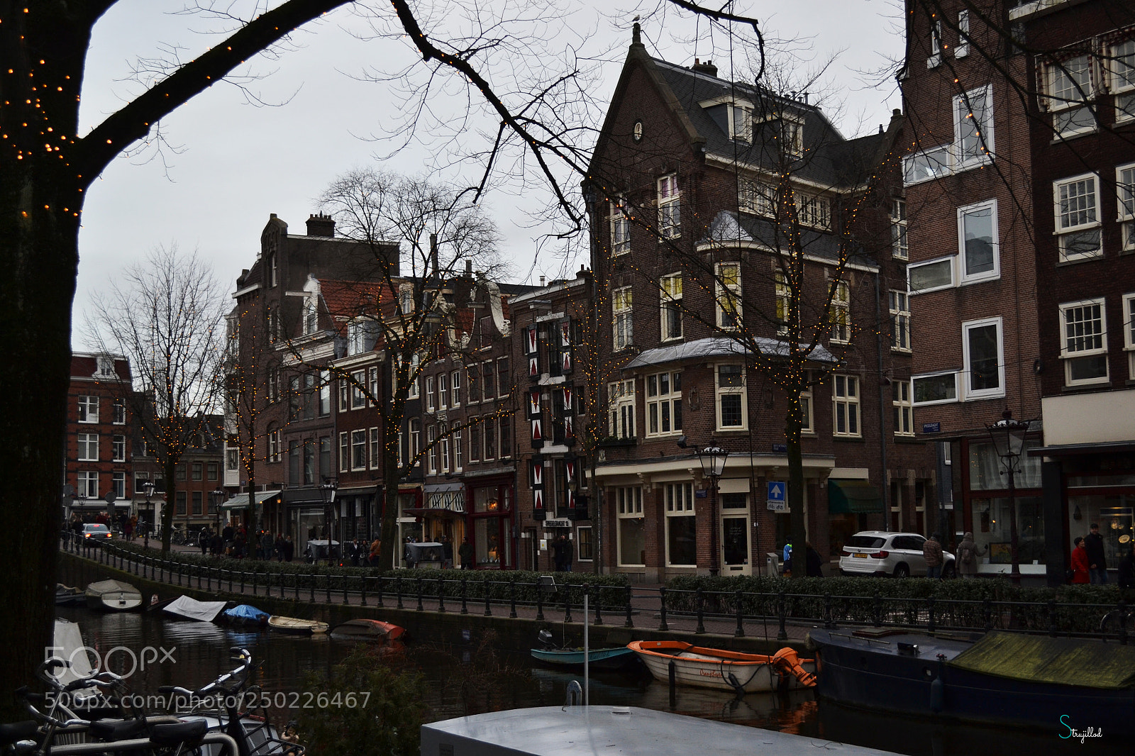 Nikon D3100 sample photo. Winterxxx photography