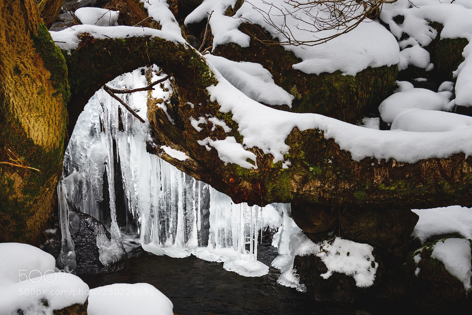 Nikon D610 sample photo. Ice on the water photography