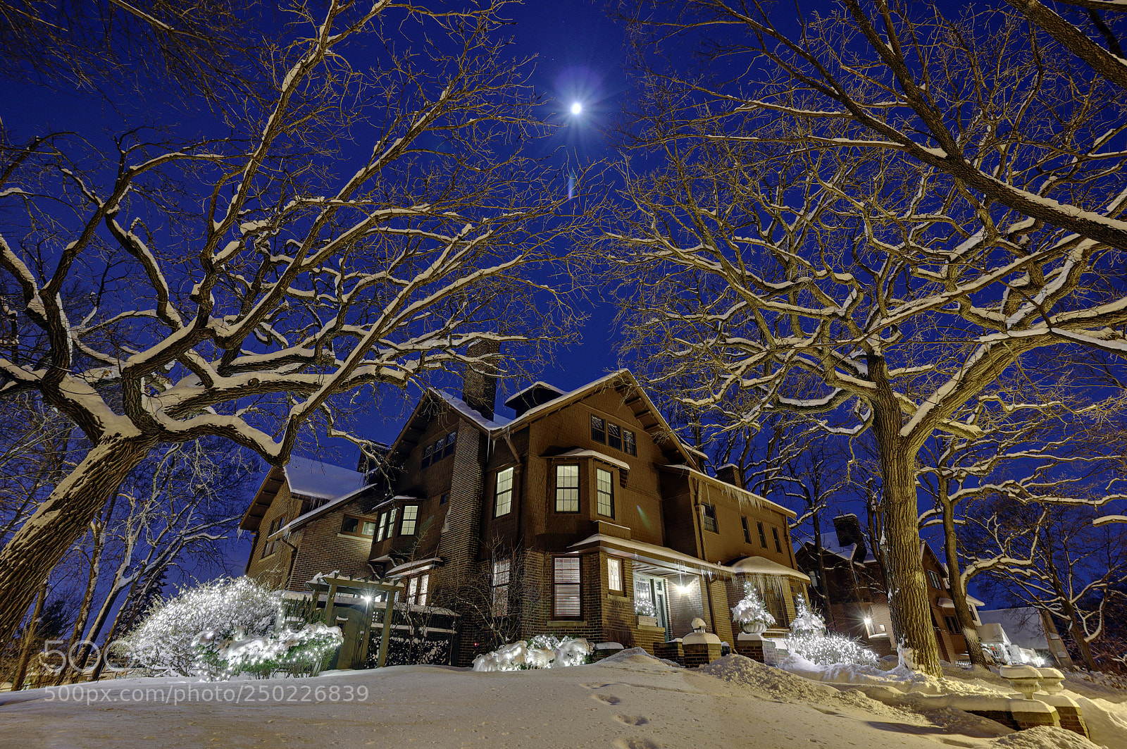 Canon EOS 550D (EOS Rebel T2i / EOS Kiss X4) sample photo. Winter moon photography