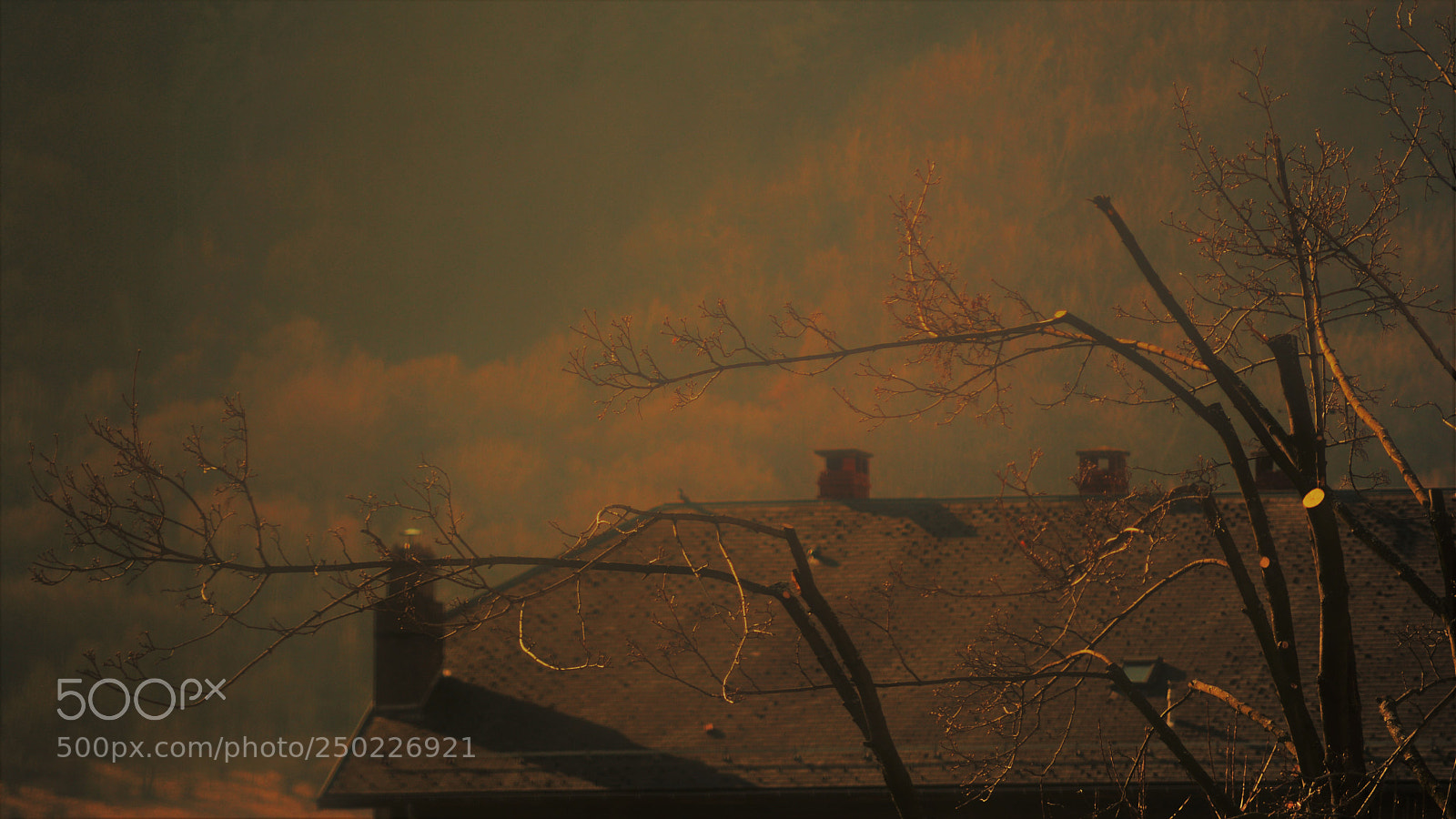 Nikon D3200 sample photo. Untitled photography